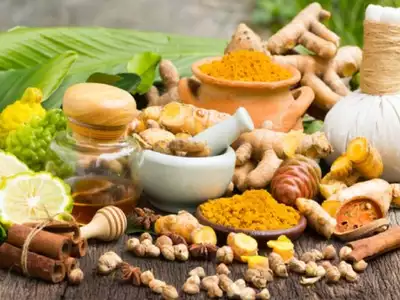 Sreesai Ayurvedics - Latest update - Ayurvedic Treatment Clinic In Bangalore