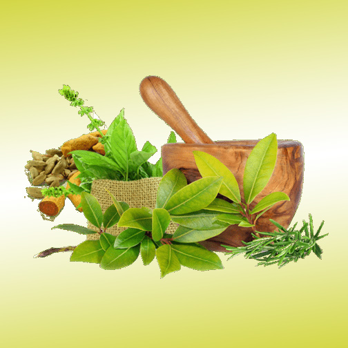 Sreesai Ayurvedics - Latest update - Ayurvedic Treatment in Kasturinagar