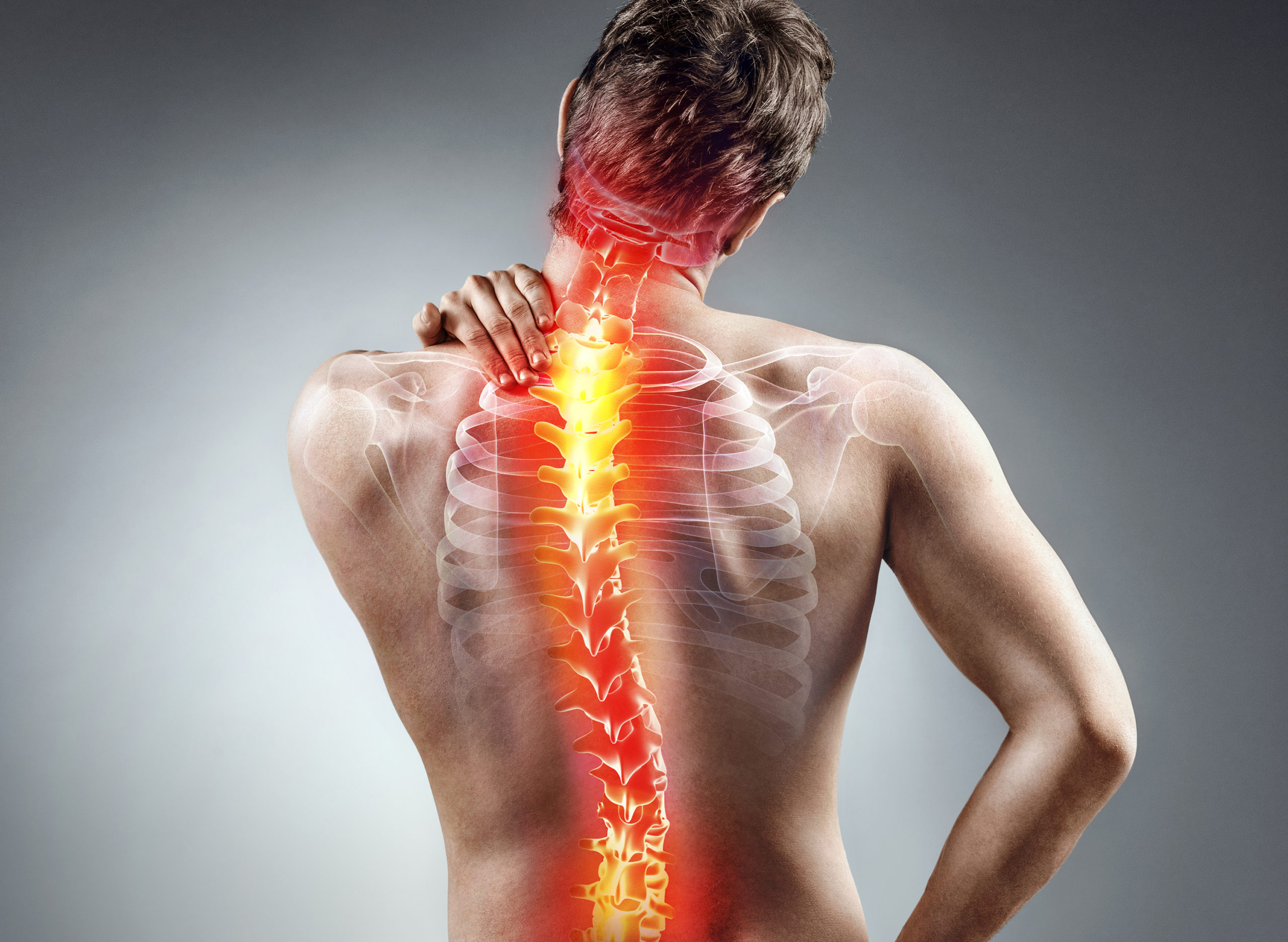 Sreesai Ayurvedics - Service - Cervical & Lumbar Spondylosis