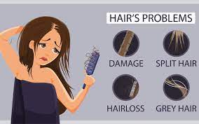 Sreesai Ayurvedics - Latest update - AYURVEDIC TREATMENTS FOR HAIR PROBLEMS IN K R PURAM