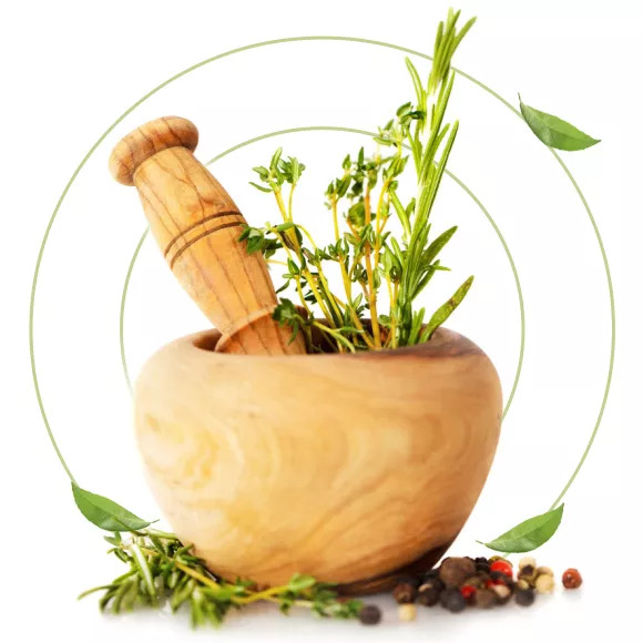 Sreesai Ayurvedics - Latest update - Herbal Detox Near Kasturinagar