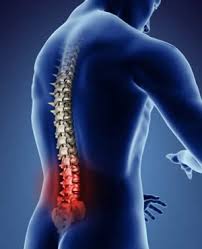 Sreesai Ayurvedics - Latest update - Cervical & Lumbar Spondylosis Treatment In Kasturinagar