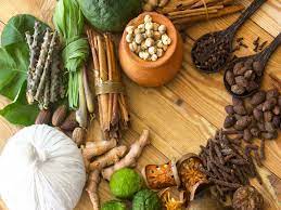 Sreesai Ayurvedics - Latest update - Ayurvedic Therapy Centre in Bangalore